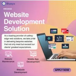 Advanced Plan for Website Design & Development