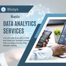 Basic Plan for Data Analytics Services & Solutions